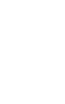 OticPI logo